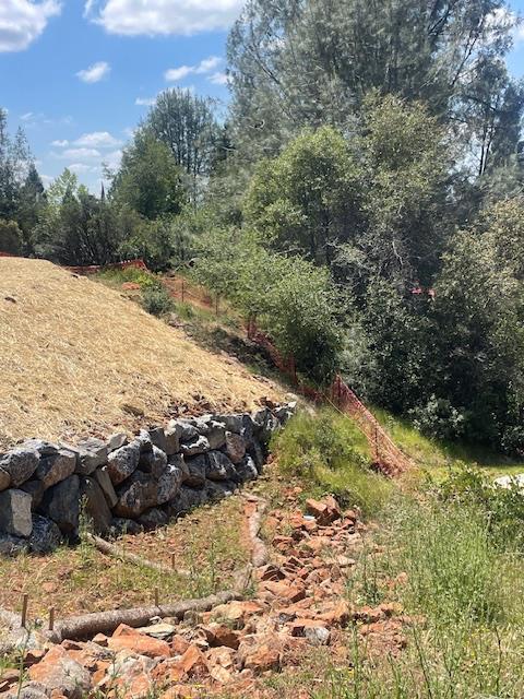 Land in Cameron Park 5