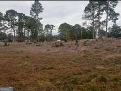 TBD Scenic Route Lot# 33, Cordele, GA, 31015 | Card Image