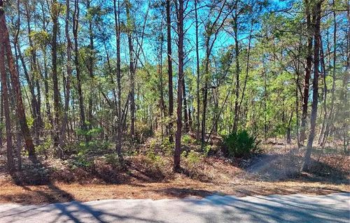 76 Fisher Run Terrace, Ocklawaha, FL, 32179 | Card Image