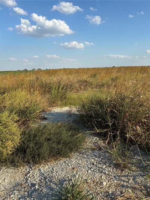 305 County Road 134, Burlington, TX, 76519 | Card Image