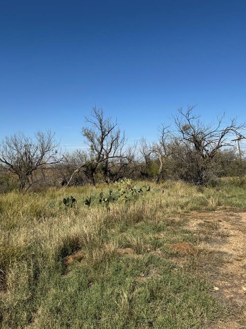4699 Fm 2319, Colorado City, TX, 79512-8421 | Card Image
