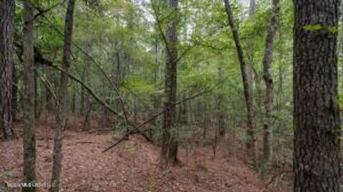 633 Lowhead Dam Rd, Lena, MS, 39094-9230 | Card Image