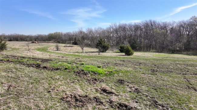 1961 Fm 677 S, Home with 0 bedrooms, 0 bathrooms and null parking in Saint Jo TX | Image 14