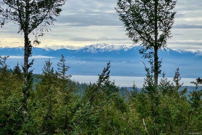 Beautiful vista | Image 35