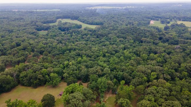 2206 E State Highway 154, Home with 0 bedrooms, 0 bathrooms and null parking in Quitman TX | Image 6