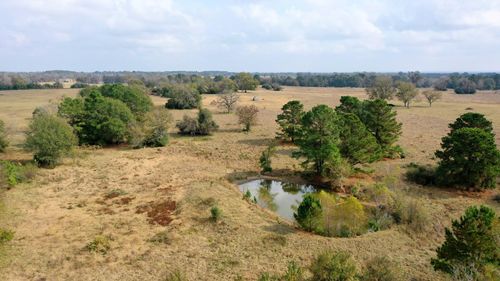 TBD Pr 1260, Centerville, TX, 75833 | Card Image