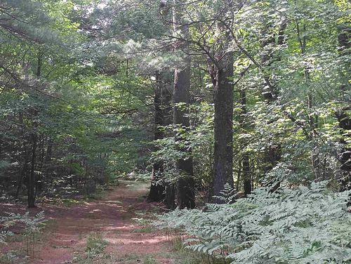28 Acres Wallaker Road, Joyfield Township, MI, 49617 | Card Image