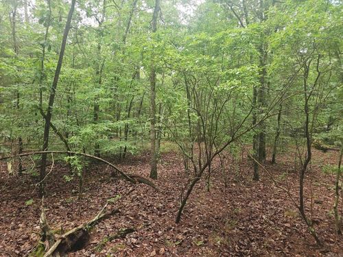 00 Glorieto Way, Hot Springs Village, AR, 71909 | Card Image