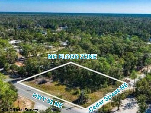 0 Highway 51 Ne, Steinhatchee, FL, 32359 | Card Image