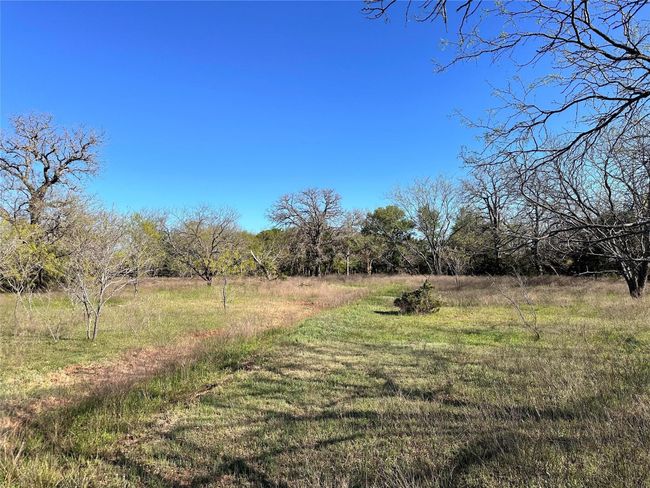 Lot 13 Cr 127, Home with 0 bedrooms, 0 bathrooms and null parking in Carlton TX | Image 7