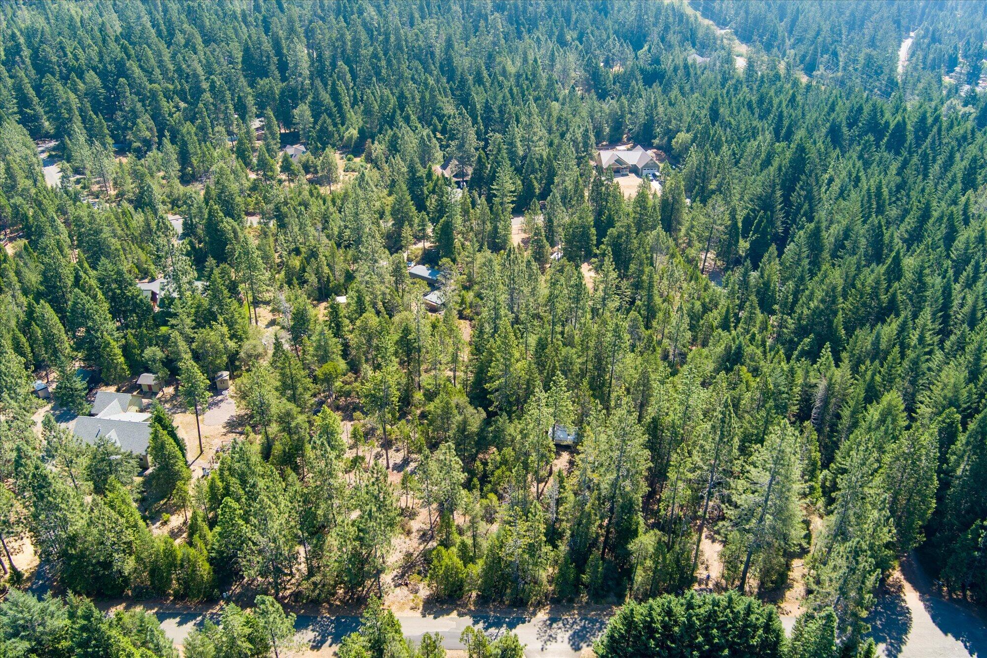 Land in Gasquet 2