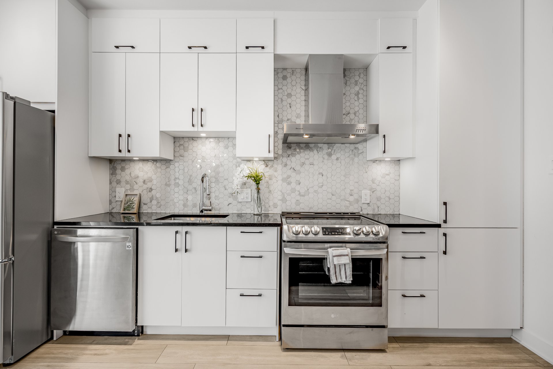 Residential in Montréal (Rosemont/La Petite-Patrie) 4