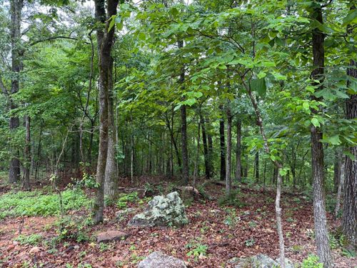 37 Tall Pine Cir, Norfork, AR, 72658-8506 | Card Image