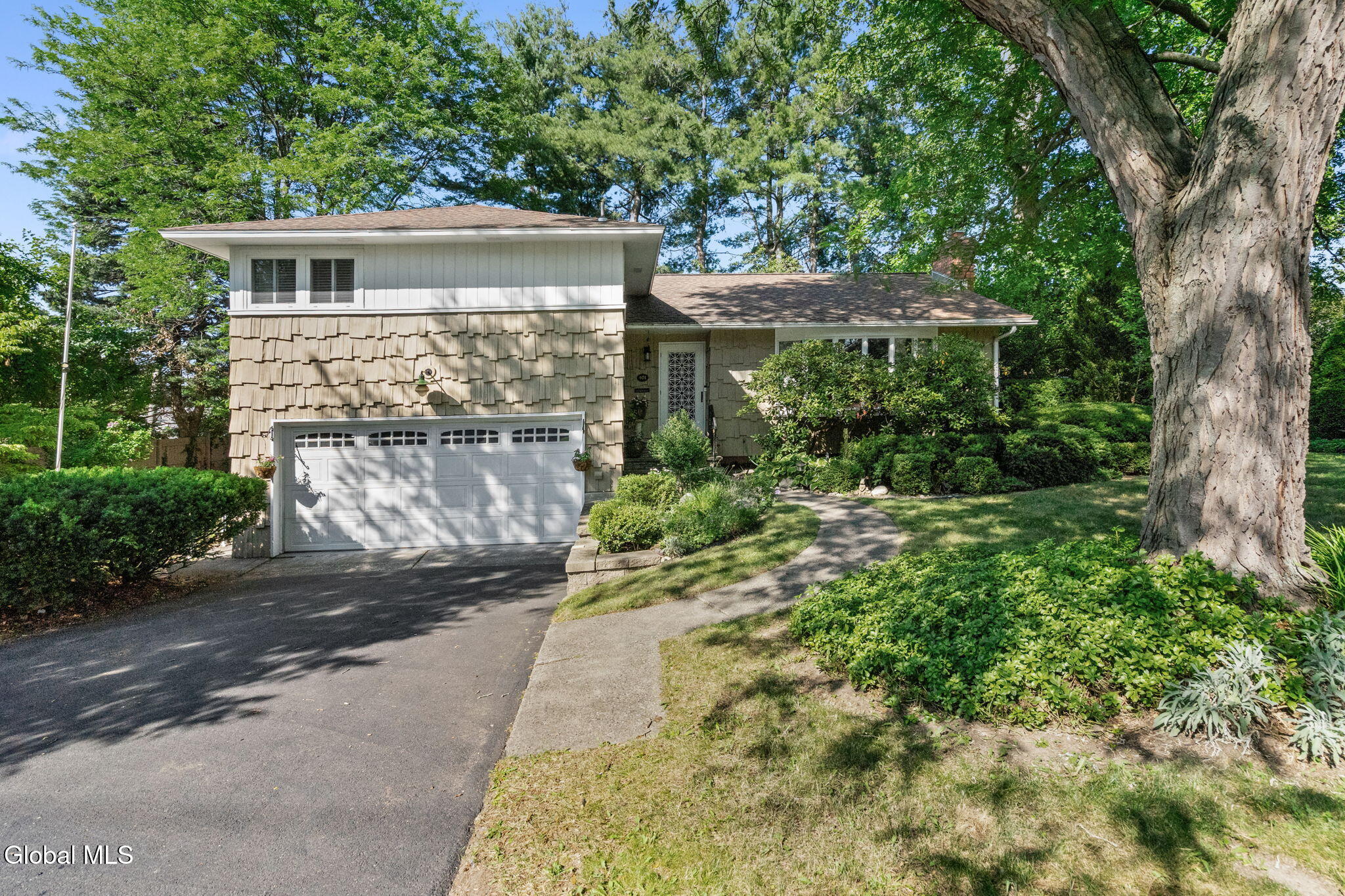 Residential in Albany 2