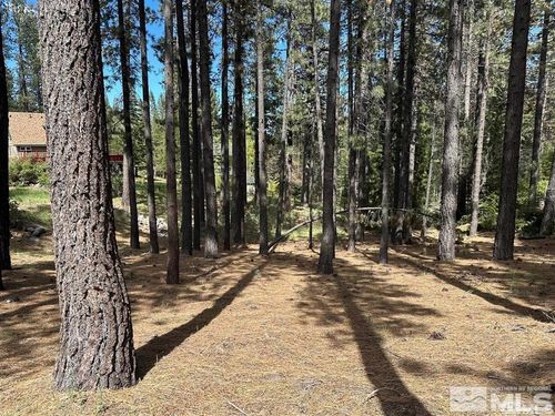 546 Pleasant Valley Rd, Markleeville, CA, 96120 | Card Image