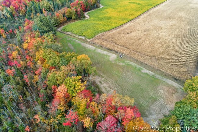 2697 176 Th Ave, House other with 5 bedrooms, 2 bathrooms and null parking in Walkerville MI | Image 12