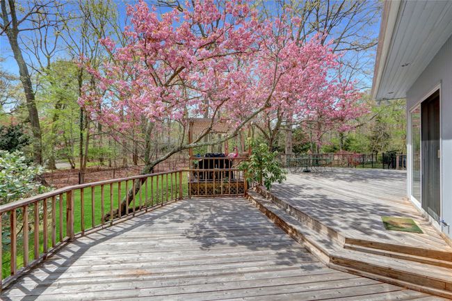 View of wooden terrace | Image 33