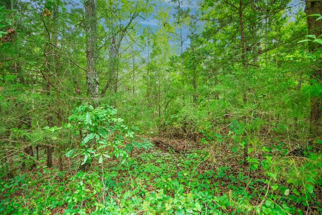 0 Us Highway 29, Home with 0 bedrooms, 0 bathrooms and null parking in WEST POINT GA | Image 6
