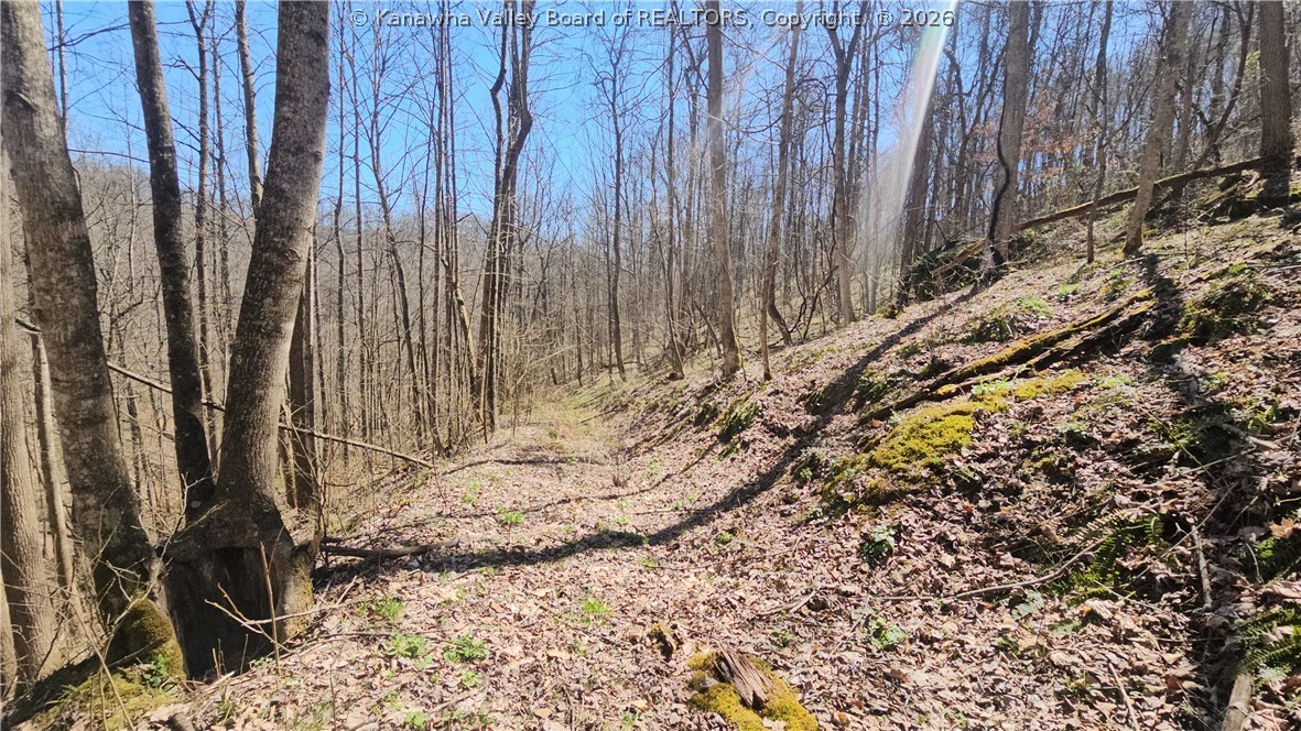 Land in Clendenin 2