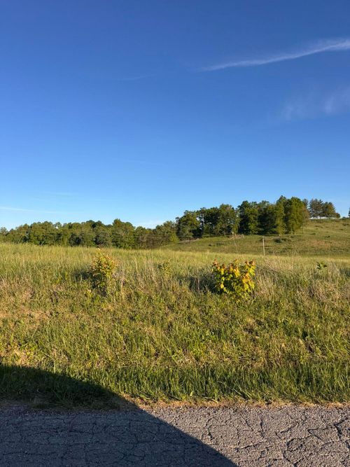 09090909 Slate Lick Road, London, KY, 40741 | Card Image