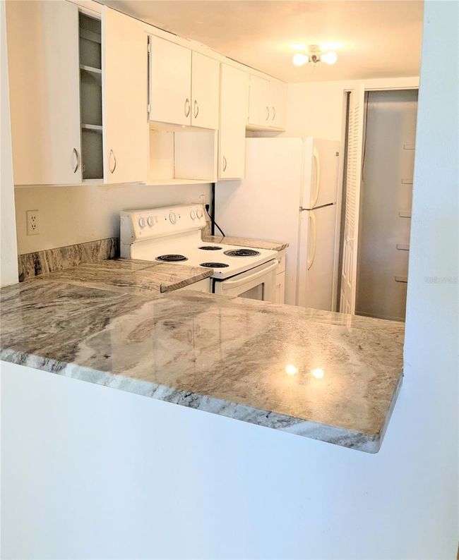 UNIT-125 - 3840 N Lake Dr, Condo with 1 bedrooms, 1 bathrooms and null parking in TAMPA FL | Image 4