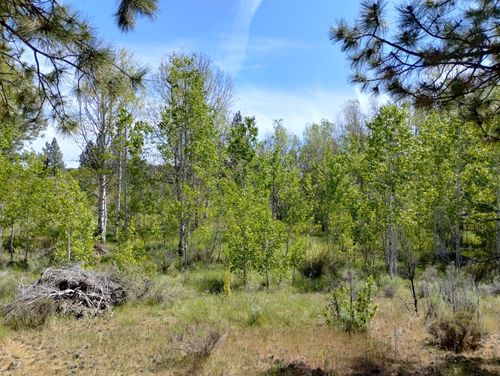 14-17-0 Forest View Dr, Chiloquin, OR, 97624 | Card Image