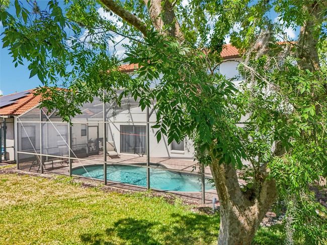 Screened-in Pool View from Back Yard | Image 39