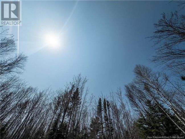 1387 Bells Mills Rd, Home with 0 bedrooms, 0 bathrooms and null parking in Richibouctou-Village NB | Image 18