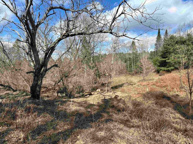 9 Hodge Hill Rd, Home with 0 bedrooms, 0 bathrooms and null parking in Lisbon NH | Image 11