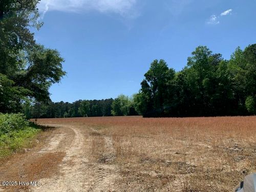 Tbd Cedar Grove Church Rd, Cerro Gordo, NC, 28430-9610 | Card Image