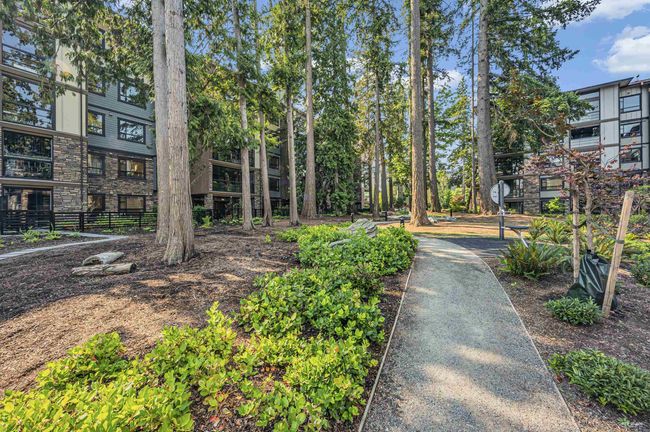 109 - 3535 146a Street, Condo with 2 bedrooms, 2 bathrooms and 2 parking in Surrey BC | Image 11