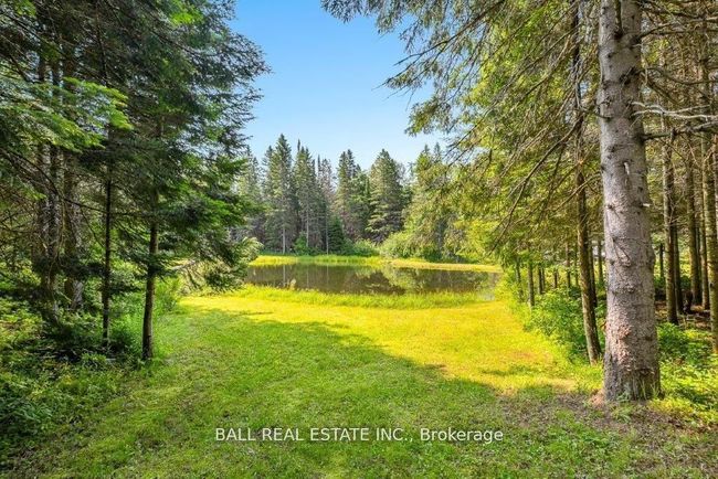 4263 Loop Rd, House other with 4 bedrooms, 2 bathrooms and 7 parking in Harcourt ON | Image 31