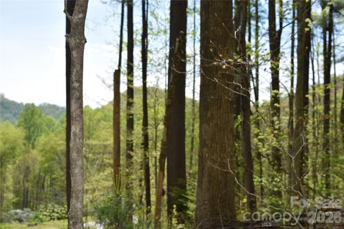 TBD Cabin Flats Rd, Balsam, NC, 28707 | Card Image