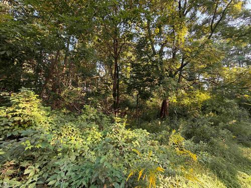 0 Woodland Ln, East China, MI, 48054 | Card Image