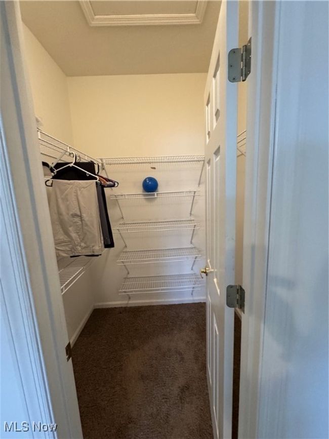 Spacious closet featuring dark carpet | Image 16