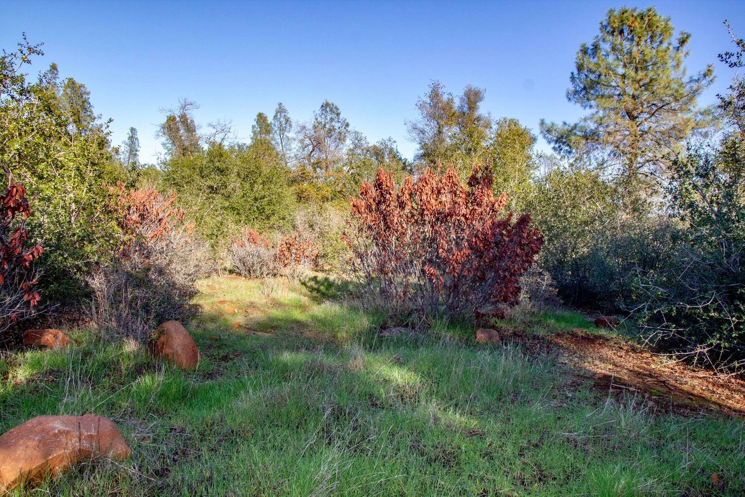 Land in Shingletown 2
