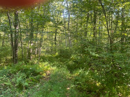 00 Sarah Pearl Rd, Hampton, CT, 06247 | Card Image