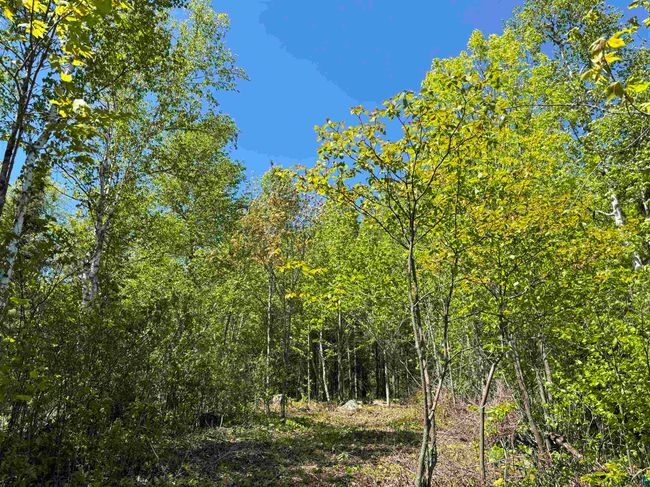 Unit 2 Fernberg Rd, Home with 0 bedrooms, 0 bathrooms and null parking in Ely MN | Image 4