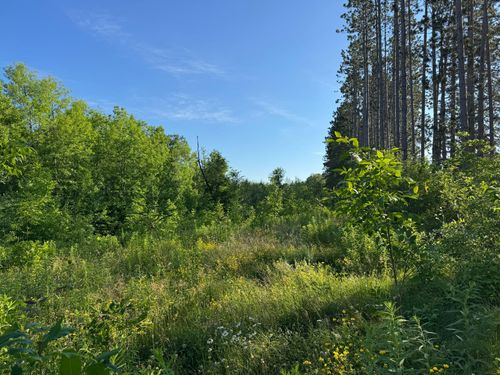 TBD-2 N Riverside Rd, Moose Lake, MN, 55767 | Card Image