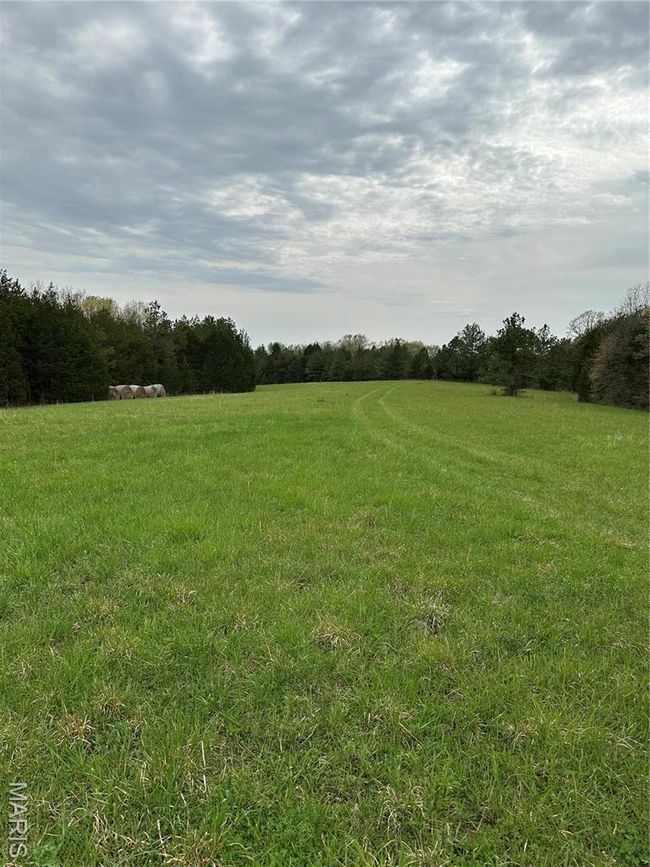 0 Butcher Branch Rd, Home with 0 bedrooms, 0 bathrooms and null parking in Hillsboro MO | Image 6