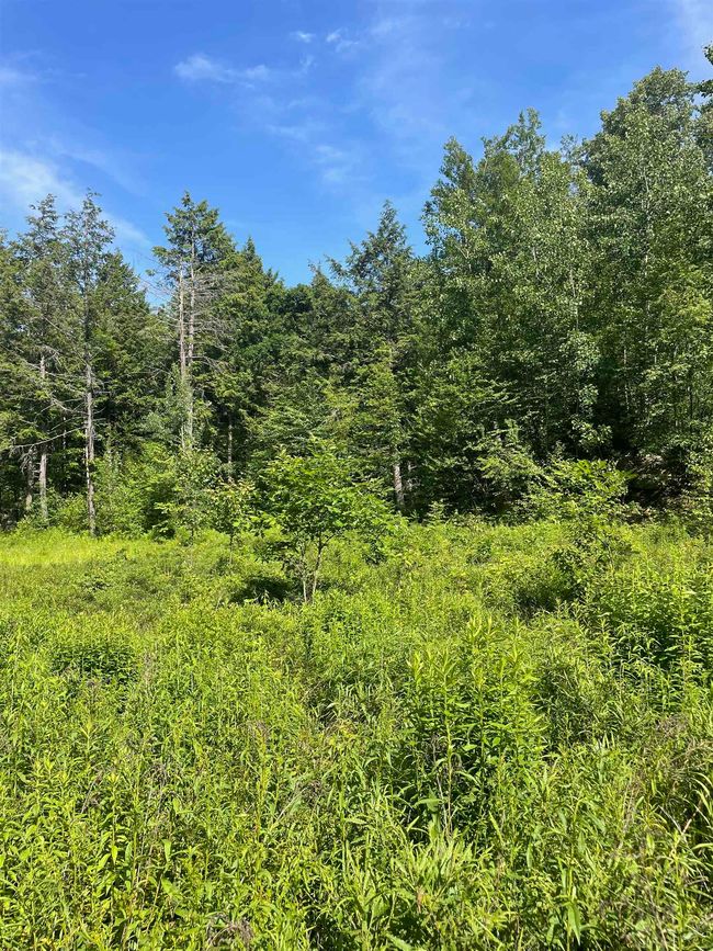 63 New Boston Rd, Home with 0 bedrooms, 0 bathrooms and null parking in Francestown NH | Image 10