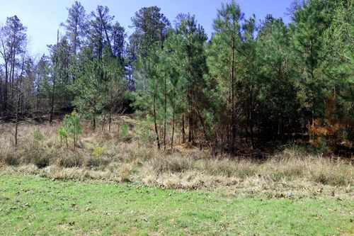 Lt. 22 Peach Blossom Trl, Sparta, GA, 31087-6327 | Card Image