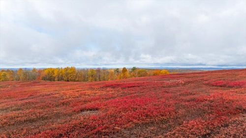 1490 Parmenter Road, Palermo, ME, 04354 | Card Image