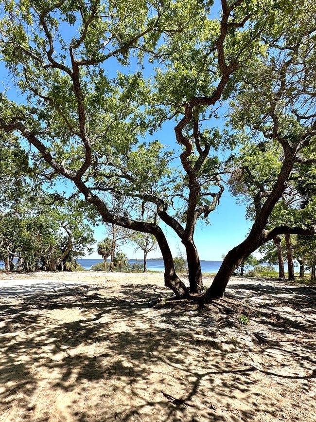 16730 Sw Airport Rd, Home with 0 bedrooms, 0 bathrooms and null parking in CEDAR KEY FL | Image 28
