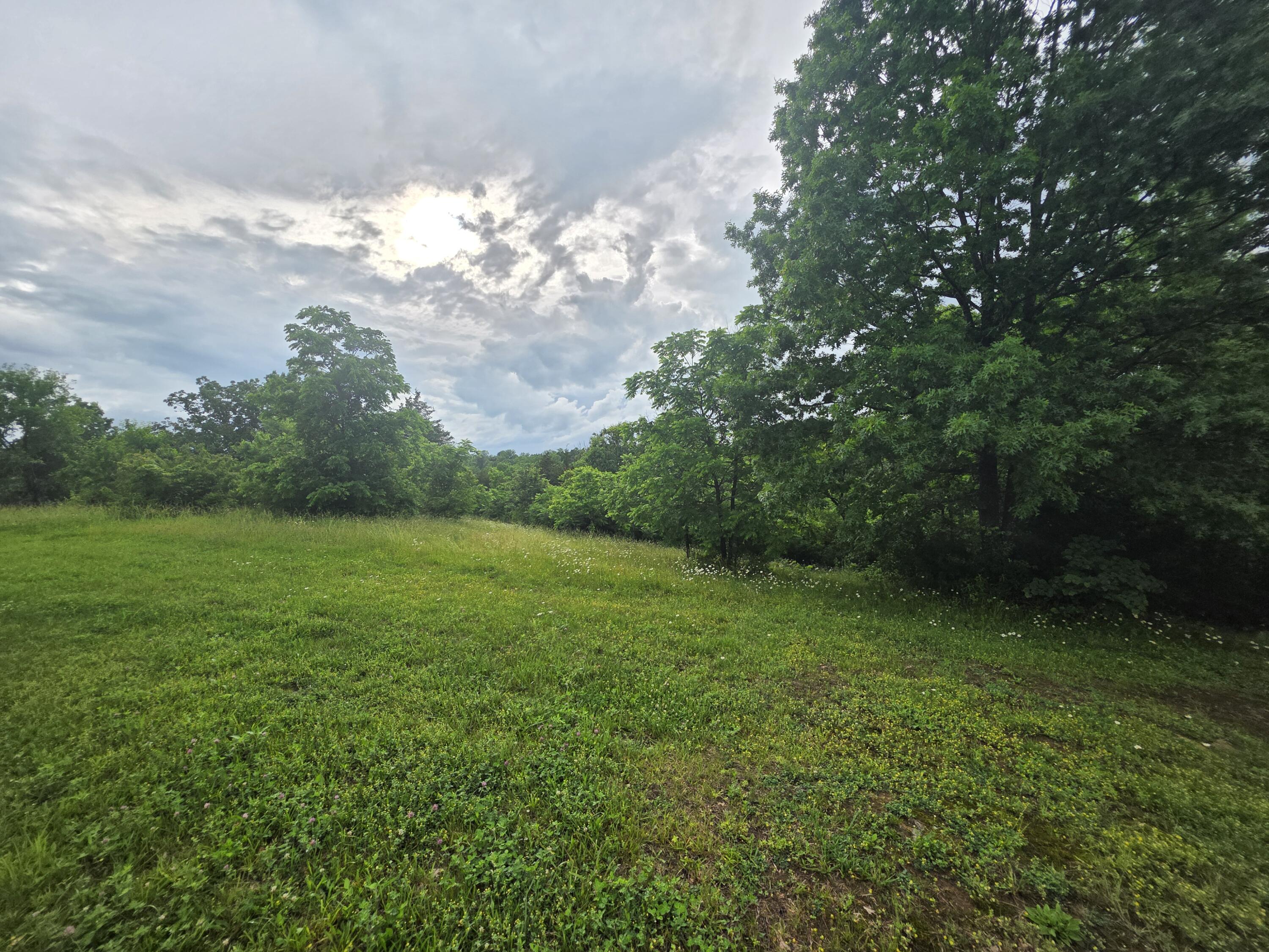 Land in Harrodsburg 5