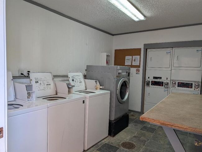Shared laundry | Image 22