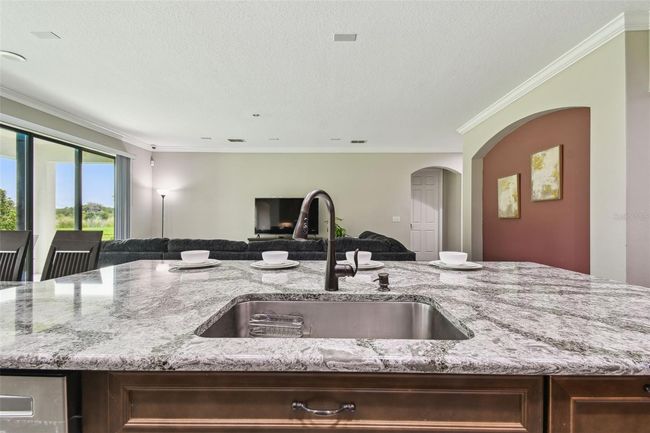 10701 Morning Dew Way, House other with 7 bedrooms, 6 bathrooms and null parking in TAMPA FL | Image 33