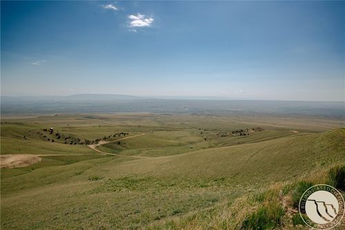COS 947 Tract 11, Belfry, MT, 59008 | Card Image