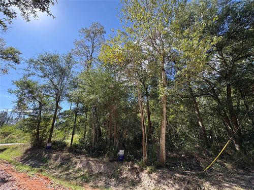 244 Mehringer Rd, Shepherd, TX, 77371 | Card Image