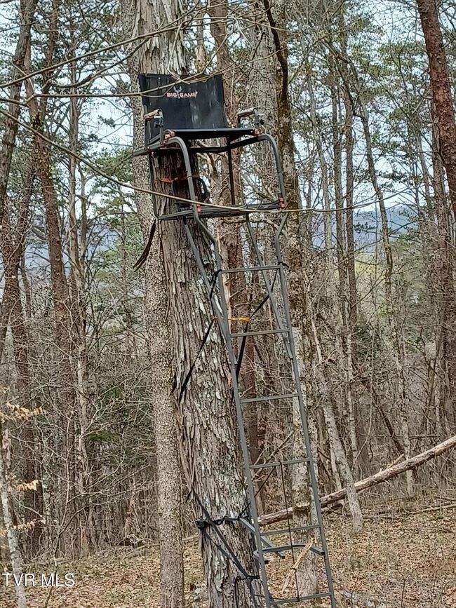 Hunting Tree Stand | Image 12